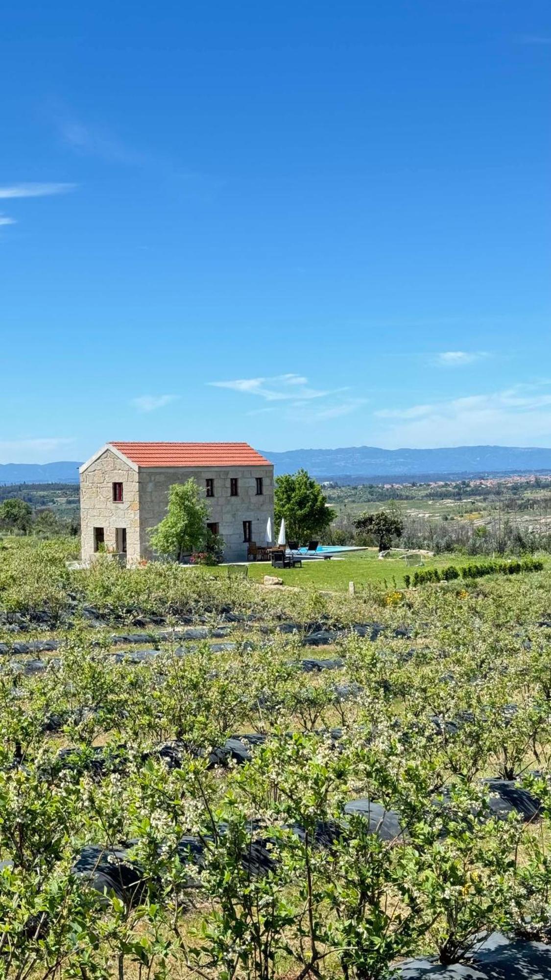 Quinta Da Cumieira Nova Villa Seia Kültér fotó